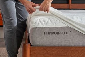 Best Tempurpedic Mattress Protector: Shield & Extend Life Organic & Natural Mattress Buyer’s Guide: Non-Toxic Sleep Solutions Best Tempurpedic Mattress Protector: Shield & Extend Life | Organic & Natural Mattress Buyer’s Guide: Non-Toxic Sleep Solutions