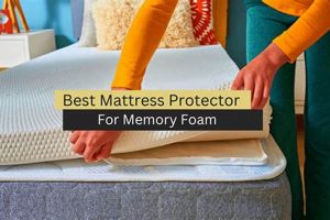 Top Rated Best Mattress Protector for Memory Foam Mattress: Shop Now Organic & Natural Mattress Buyer’s Guide: Non-Toxic Sleep Solutions Top Rated Best Mattress Protector for Memory Foam Mattress: Shop Now | Organic & Natural Mattress Buyer’s Guide: Non-Toxic Sleep Solutions