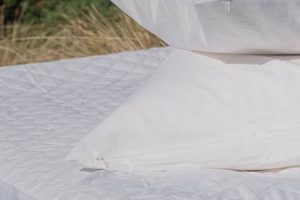 Best Linen Mattress Protector: Sleep Better, Naturally! Organic & Natural Mattress Buyer’s Guide: Non-Toxic Sleep Solutions Best Linen Mattress Protector: Sleep Better, Naturally! | Organic & Natural Mattress Buyer’s Guide: Non-Toxic Sleep Solutions