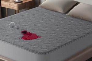 Best Air Mattress Protector: Comfort & Shield! Organic & Natural Mattress Buyer’s Guide: Non-Toxic Sleep Solutions Best Air Mattress Protector: Comfort & Shield! | Organic & Natural Mattress Buyer’s Guide: Non-Toxic Sleep Solutions