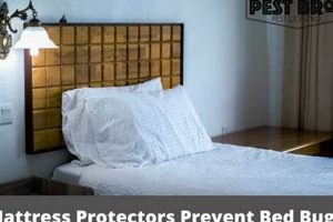 Will a Mattress Protector Stop Bed Bugs? Prevention Tips Organic & Natural Mattress Buyer’s Guide: Non-Toxic Sleep Solutions Will a Mattress Protector Stop Bed Bugs? Prevention Tips | Organic & Natural Mattress Buyer’s Guide: Non-Toxic Sleep Solutions
