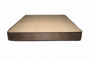 Best Dream Foam Mattress: Your Sleep Solution! Organic & Natural Mattress Buyer’s Guide: Non-Toxic Sleep Solutions Best Dream Foam Mattress: Your Sleep Solution! | Organic & Natural Mattress Buyer’s Guide: Non-Toxic Sleep Solutions