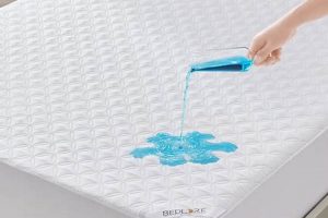 Best Washable Mattress Protector: Guide & Tips Organic & Natural Mattress Buyer’s Guide: Non-Toxic Sleep Solutions Best Washable Mattress Protector: Guide & Tips | Organic & Natural Mattress Buyer’s Guide: Non-Toxic Sleep Solutions