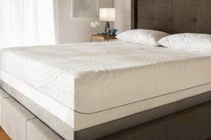 Best Tempurpedic Mattress Protector King: Shield & Sleep! Organic & Natural Mattress Buyer’s Guide: Non-Toxic Sleep Solutions Best Tempurpedic Mattress Protector King: Shield & Sleep! | Organic & Natural Mattress Buyer’s Guide: Non-Toxic Sleep Solutions