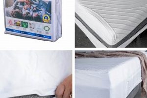 Best Mattress Covers & Protectors: Sleep Soundly! Organic & Natural Mattress Buyer’s Guide: Non-Toxic Sleep Solutions Best Mattress Covers & Protectors: Sleep Soundly! | Organic & Natural Mattress Buyer’s Guide: Non-Toxic Sleep Solutions