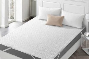 Best Mattress Protector Sheet: [Brand/Feature] Guide | Organic & Natural Mattress Buyer’s Guide: Non-Toxic Sleep Solutions