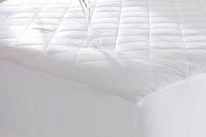 Best Extra Deep Mattress Protector: Shield & Sleep! Organic & Natural Mattress Buyer’s Guide: Non-Toxic Sleep Solutions Best Extra Deep Mattress Protector: Shield & Sleep! | Organic & Natural Mattress Buyer’s Guide: Non-Toxic Sleep Solutions