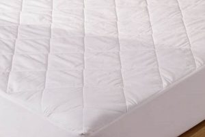 Best Cotton Mattress Protector: Sleep Soundly! Organic & Natural Mattress Buyer’s Guide: Non-Toxic Sleep Solutions Best Cotton Mattress Protector: Sleep Soundly! | Organic & Natural Mattress Buyer’s Guide: Non-Toxic Sleep Solutions