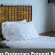 Bed Bug Barrier: Does a Mattress Protector Really Work? | Organic & Natural Mattress Buyer’s Guide: Non-Toxic Sleep Solutions