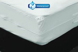 Best Queen Mattress Protector for Bed Bugs: Protect Your Bed! Organic & Natural Mattress Buyer’s Guide: Non-Toxic Sleep Solutions Best Queen Mattress Protector for Bed Bugs: Protect Your Bed! | Organic & Natural Mattress Buyer’s Guide: Non-Toxic Sleep Solutions