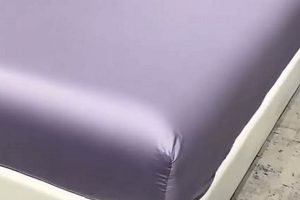 Best Mattress Protector Reddit Tips: Protect Your Bed! Organic & Natural Mattress Buyer’s Guide: Non-Toxic Sleep Solutions Best Mattress Protector Reddit Tips: Protect Your Bed! | Organic & Natural Mattress Buyer’s Guide: Non-Toxic Sleep Solutions