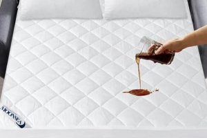 Best Sofa Bed Mattress Protector: Shield & Extend! Organic & Natural Mattress Buyer’s Guide: Non-Toxic Sleep Solutions Best Sofa Bed Mattress Protector: Shield & Extend! | Organic & Natural Mattress Buyer’s Guide: Non-Toxic Sleep Solutions