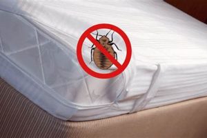 Top Rated: Best Bed Bug Mattress Protector [Guide 2024] | Organic & Natural Mattress Buyer’s Guide: Non-Toxic Sleep Solutions
