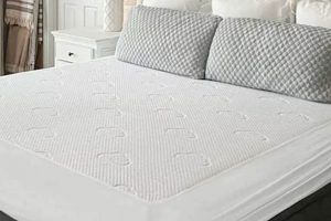 Best Puffy Mattress Protector: Comfort & Shield! | Organic & Natural Mattress Buyer’s Guide: Non-Toxic Sleep Solutions