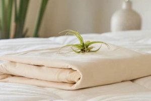 Shop Organic Waterproof Mattress Protector Today! Organic & Natural Mattress Buyer’s Guide: Non-Toxic Sleep Solutions Shop Organic Waterproof Mattress Protector Today! | Organic & Natural Mattress Buyer’s Guide: Non-Toxic Sleep Solutions