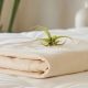 Shop Organic Waterproof Mattress Protector Today! | Organic & Natural Mattress Buyer’s Guide: Non-Toxic Sleep Solutions