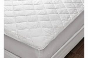 Best 100 Cotton Mattress Protector: Sleep Soundly & Protect! | Organic & Natural Mattress Buyer’s Guide: Non-Toxic Sleep Solutions