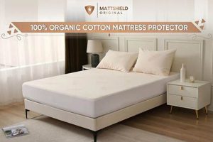 Best Organic Mattress Protector: Safe Sleep & Protection Organic & Natural Mattress Buyer’s Guide: Non-Toxic Sleep Solutions Best Organic Mattress Protector: Safe Sleep & Protection | Organic & Natural Mattress Buyer’s Guide: Non-Toxic Sleep Solutions
