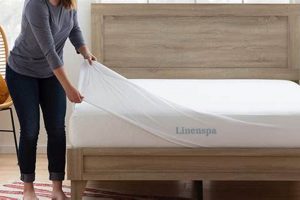 Top-Rated Best Mattress Protector Reddit (2024) | Organic & Natural Mattress Buyer’s Guide: Non-Toxic Sleep Solutions