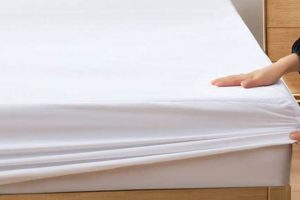 Washable Wonders: Can You Wash a Mattress Protector Right? | Organic & Natural Mattress Buyer’s Guide: Non-Toxic Sleep Solutions