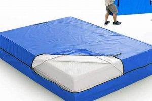 Best Queen Mattress Protector for Moving: Safeguard Now! | Organic & Natural Mattress Buyer’s Guide: Non-Toxic Sleep Solutions