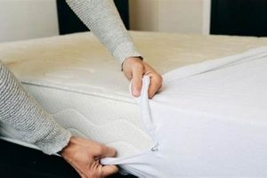 Is a Mattress Protector Worth It? [Need + Guide] | Organic & Natural Mattress Buyer’s Guide: Non-Toxic Sleep Solutions