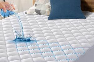 Top Queen Size Mattress Protector: Guard Your Bed! | Organic & Natural Mattress Buyer’s Guide: Non-Toxic Sleep Solutions