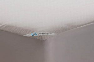 Best Posturepedic Mattress Protector: Guard Your Sleep! | Organic & Natural Mattress Buyer’s Guide: Non-Toxic Sleep Solutions