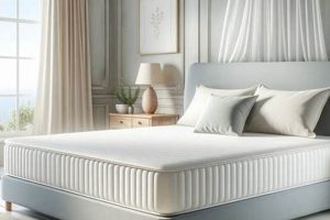 Why & What Does a Mattress Protector Do? +Tips | Organic & Natural Mattress Buyer’s Guide: Non-Toxic Sleep Solutions