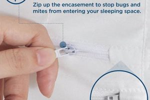 Best Twin Bed Bug Mattress Protector: Sleep Soundly Now! Organic & Natural Mattress Buyer’s Guide: Non-Toxic Sleep Solutions Best Twin Bed Bug Mattress Protector: Sleep Soundly Now! | Organic & Natural Mattress Buyer’s Guide: Non-Toxic Sleep Solutions