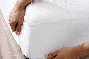 Best Mattress Protector for Tempur Mattress: Protect & Extend! | Organic & Natural Mattress Buyer’s Guide: Non-Toxic Sleep Solutions