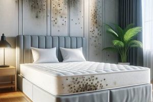 Stop Mattress Protector Mold: Causes & Prevention Tips Organic & Natural Mattress Buyer’s Guide: Non-Toxic Sleep Solutions Stop Mattress Protector Mold: Causes & Prevention Tips | Organic & Natural Mattress Buyer’s Guide: Non-Toxic Sleep Solutions