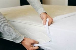 Why Wash Mattress Protector Before Use? + Benefits! | Organic & Natural Mattress Buyer’s Guide: Non-Toxic Sleep Solutions