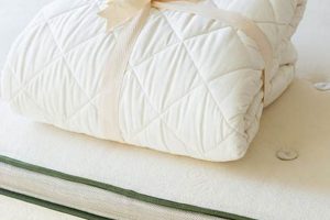 Best Avocado Mattress Protector: Your Organic Shield! | Organic & Natural Mattress Buyer’s Guide: Non-Toxic Sleep Solutions