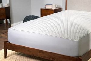 Best Mattress Firm Mattress Protector: Review & Guide | Organic & Natural Mattress Buyer’s Guide: Non-Toxic Sleep Solutions