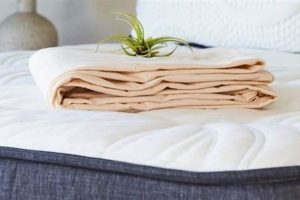 Best Organic Mattress Protectors: Sleep Clean & Protected Organic & Natural Mattress Buyer’s Guide: Non-Toxic Sleep Solutions Best Organic Mattress Protectors: Sleep Clean & Protected | Organic & Natural Mattress Buyer’s Guide: Non-Toxic Sleep Solutions