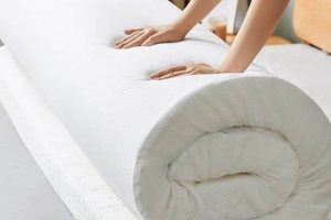 Top Organic Twin Mattress Protector Guide Organic & Natural Mattress Buyer’s Guide: Non-Toxic Sleep Solutions Top Organic Twin Mattress Protector Guide | Organic & Natural Mattress Buyer’s Guide: Non-Toxic Sleep Solutions