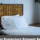 Mattress Protector: Do They REALLY Stop Bed Bugs? | Organic & Natural Mattress Buyer’s Guide: Non-Toxic Sleep Solutions