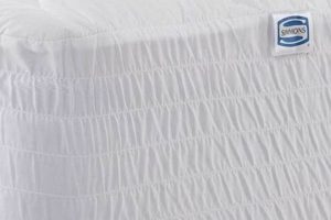 Best Simmons Mattress Protector: Shields & Comfort! | Organic & Natural Mattress Buyer’s Guide: Non-Toxic Sleep Solutions