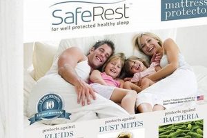 Top-Rated Best Dust Mite Mattress Protector - Shop Now! | Organic & Natural Mattress Buyer’s Guide: Non-Toxic Sleep Solutions