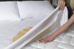 Best Sheet Mattress Protector: Covers & Care | Organic & Natural Mattress Buyer’s Guide: Non-Toxic Sleep Solutions