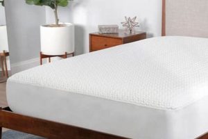 Best bedgear dri tec Mattress Protector: Sleep Soundly! | Organic & Natural Mattress Buyer’s Guide: Non-Toxic Sleep Solutions