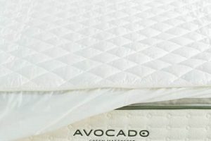 Top Rated Mattress Protector: Ultimate Bed Defense Organic & Natural Mattress Buyer’s Guide: Non-Toxic Sleep Solutions Top Rated Mattress Protector: Ultimate Bed Defense | Organic & Natural Mattress Buyer’s Guide: Non-Toxic Sleep Solutions