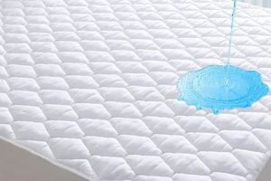 Protect Your Bed: Best Mattress Protector for Bed Today! | Organic & Natural Mattress Buyer’s Guide: Non-Toxic Sleep Solutions