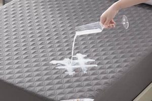 Top Bedlore Mattress Protector: Sleep Soundly! Organic & Natural Mattress Buyer’s Guide: Non-Toxic Sleep Solutions Top Bedlore Mattress Protector: Sleep Soundly! | Organic & Natural Mattress Buyer’s Guide: Non-Toxic Sleep Solutions