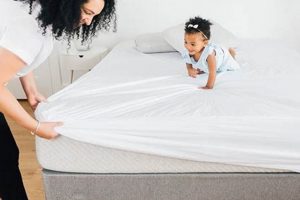 Why Leesa Mattress Protector? Ultimate Guide & Review | Organic & Natural Mattress Buyer’s Guide: Non-Toxic Sleep Solutions
