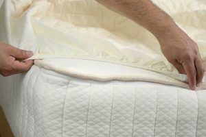 Best California King Mattress Protectors: Ultimate Guide! | Organic & Natural Mattress Buyer’s Guide: Non-Toxic Sleep Solutions