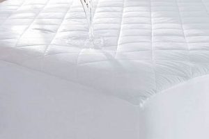 Best Quilted Mattress Protector: Sleep Soundly Today! | Organic & Natural Mattress Buyer’s Guide: Non-Toxic Sleep Solutions