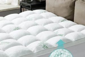 Best Queen Size Mattress Protector: Sleep Soundly Now! Organic & Natural Mattress Buyer’s Guide: Non-Toxic Sleep Solutions Best Queen Size Mattress Protector: Sleep Soundly Now! | Organic & Natural Mattress Buyer’s Guide: Non-Toxic Sleep Solutions