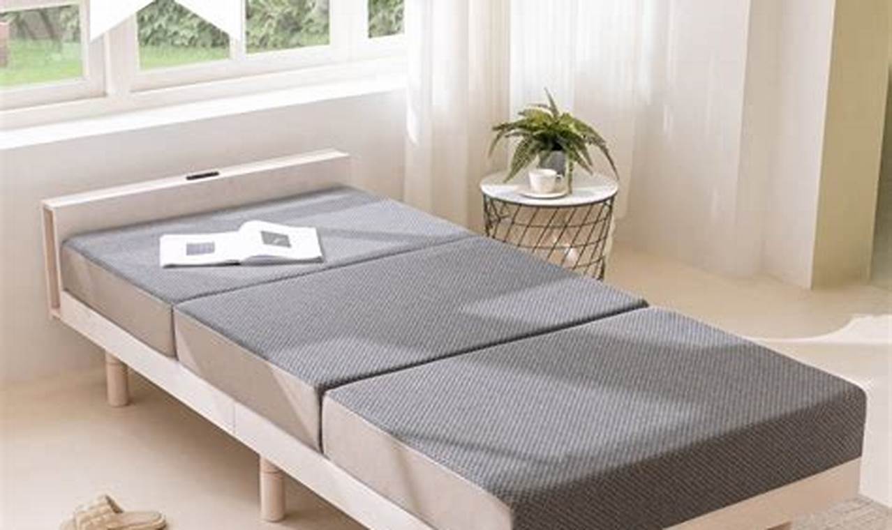 Best Mattress Foam Twin Size For Comfortable Sleep Organic & Natural Mattress Buyer’s Guide: Non-Toxic Sleep Solutions Best Mattress Foam Twin Size For Comfortable Sleep | Organic & Natural Mattress Buyer’s Guide: Non-Toxic Sleep Solutions